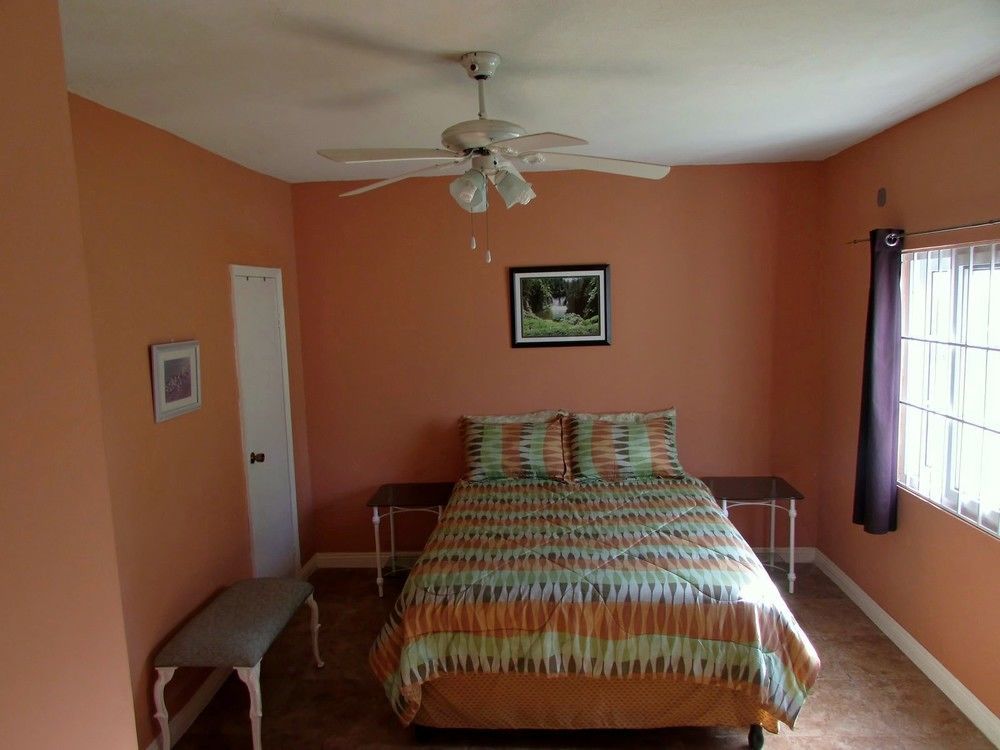 Centrally Located Guest Apartments Kingston Kültér fotó